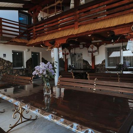 Pensiunea La Lenuta Onceşti エクステリア 写真